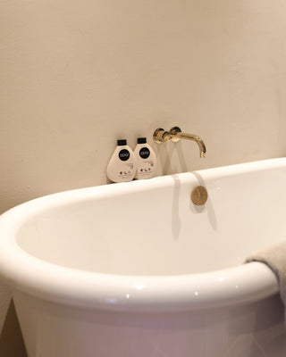 Conditioner Cactus no. 18