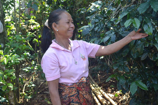 ZENZ byder på aromatisk kaffe fra egen farmer i Laos, Asien