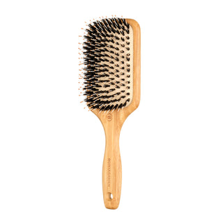 Ionic Styling Brush Paddle