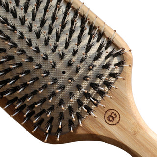 Ionic Styling Brush Paddle