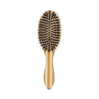 Boar Brush Oval